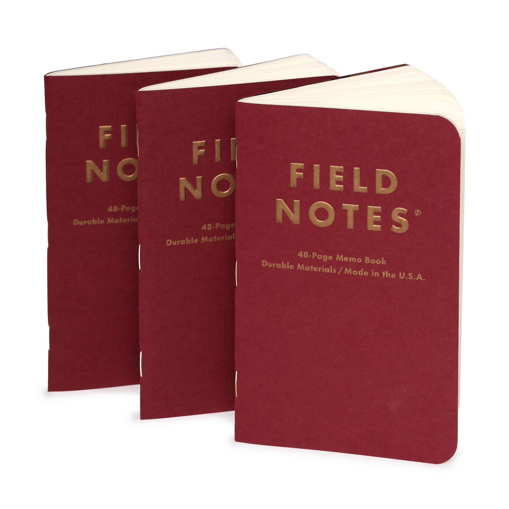 Field Notes Vintage Dot Ruled Memo Book