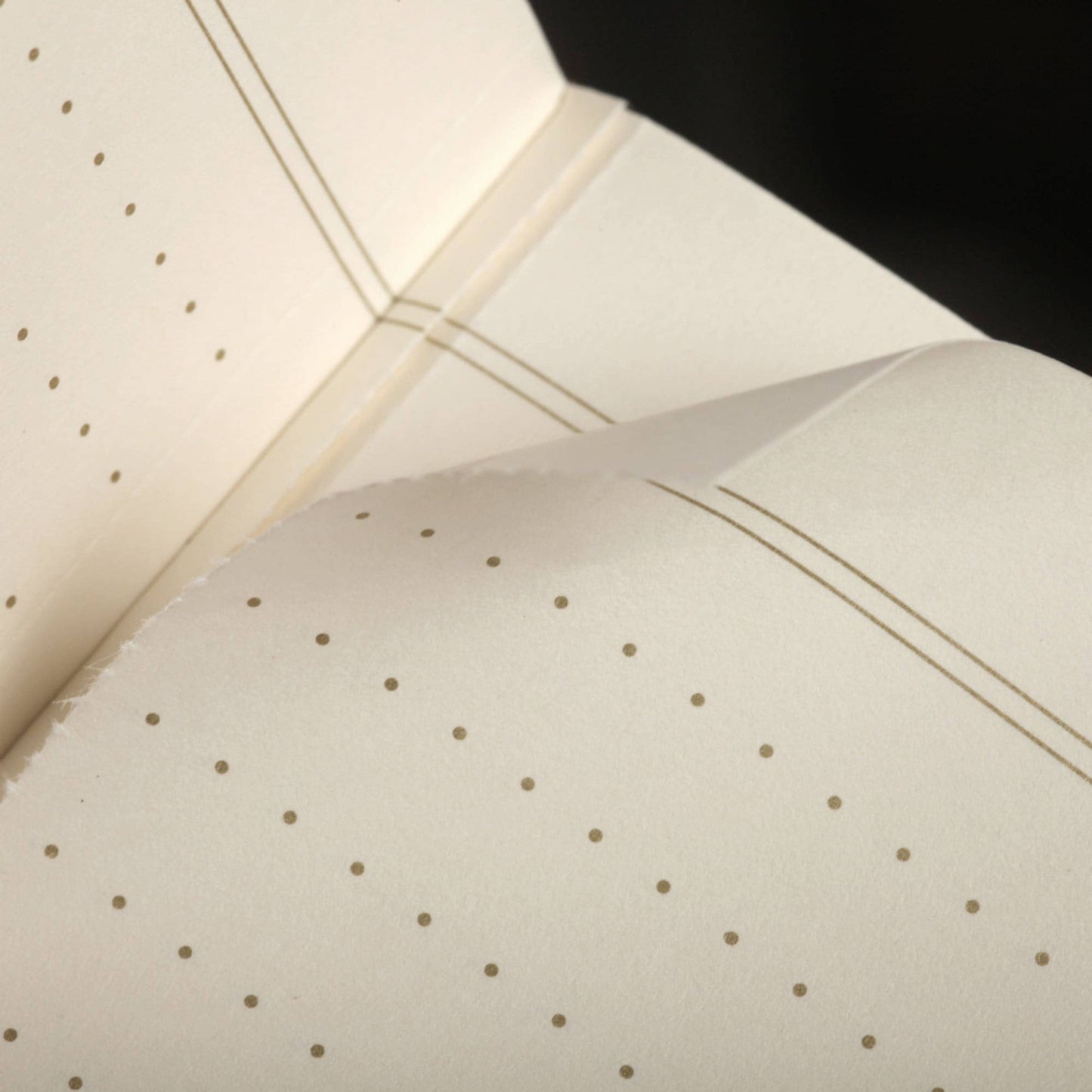 Field Notes Vintage Dot Ruled Memo Book