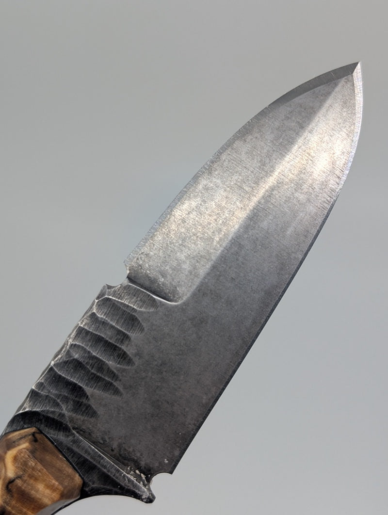 Lex Rex Custom Knives Midsize Jacobite Fixed Blade Knife