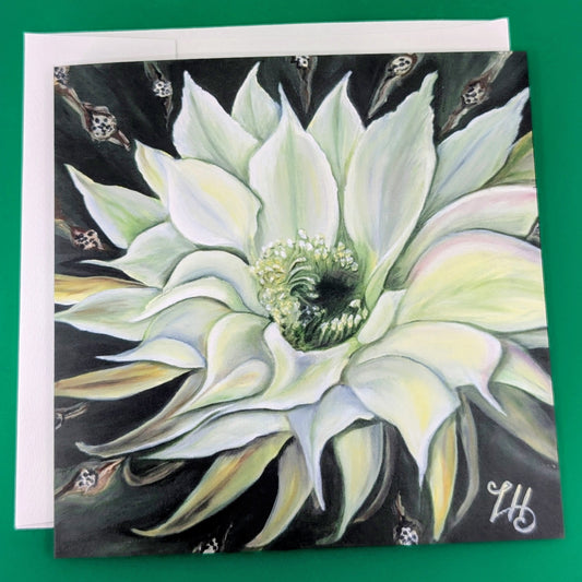 Card with a detailed illustration of a white flower  Cereus on a green background
