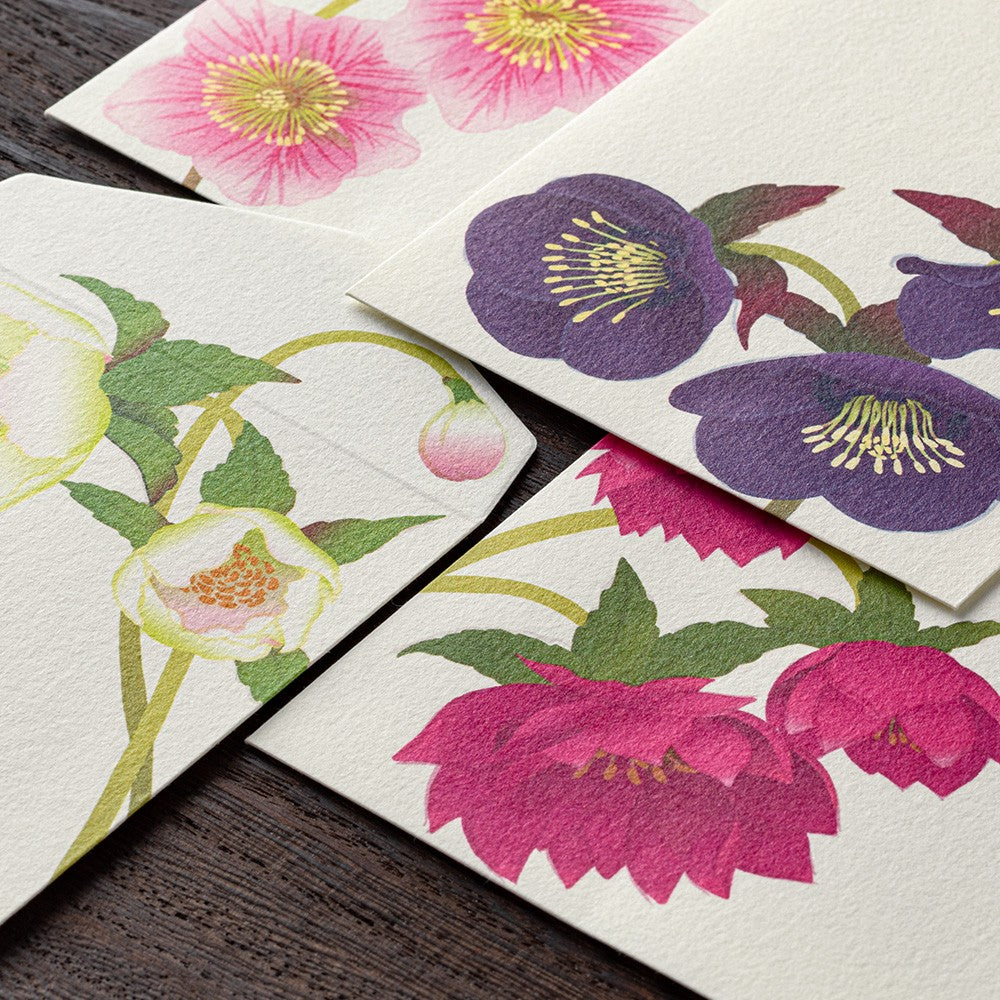 Midori Envelope 150 Four Designs Christmas Rose
