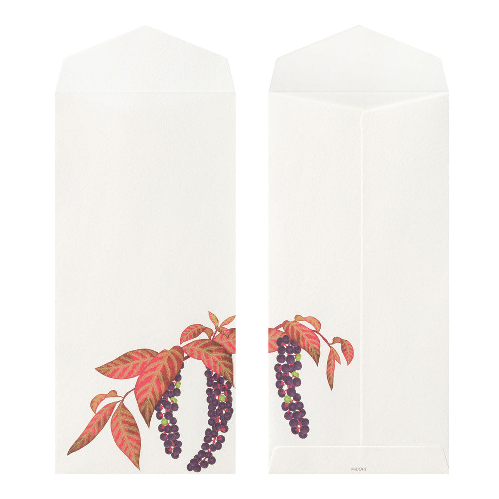 Midori Envelopes - Four Designs Autumn Fruits