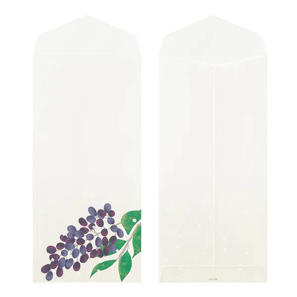 Midori Envelopes - Four Designs Winter Fruit