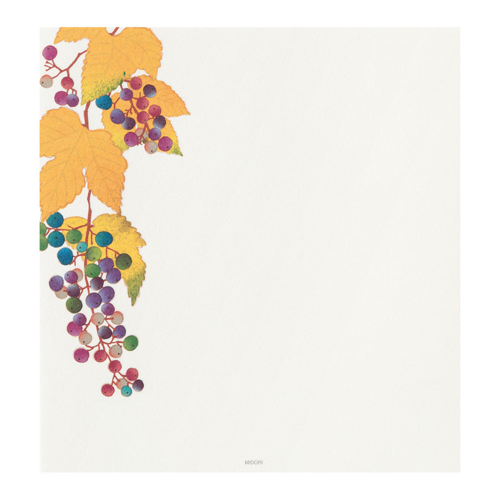 Midori Letter Pad - Four Designs Autumn Fruits