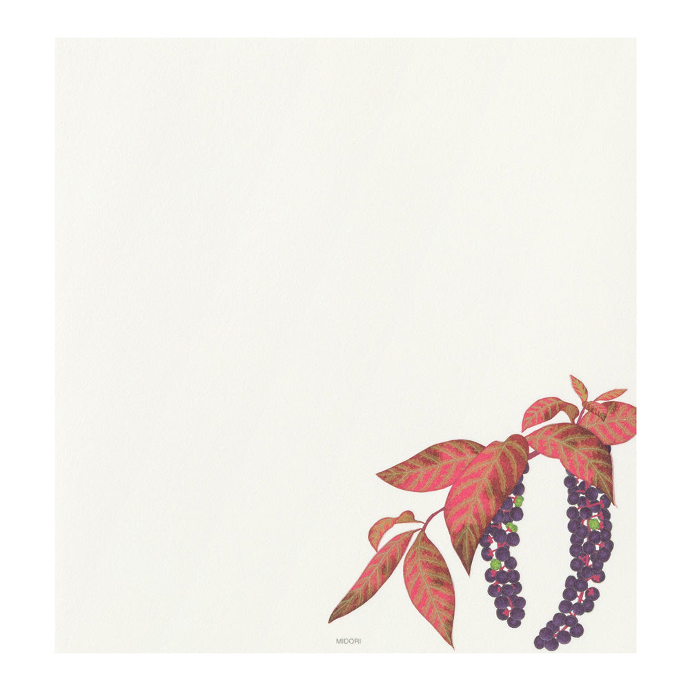 Midori Letter Pad - Four Designs Autumn Fruits