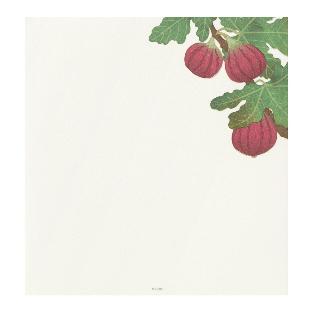Midori Letter Pad - Four Designs Autumn Fruits