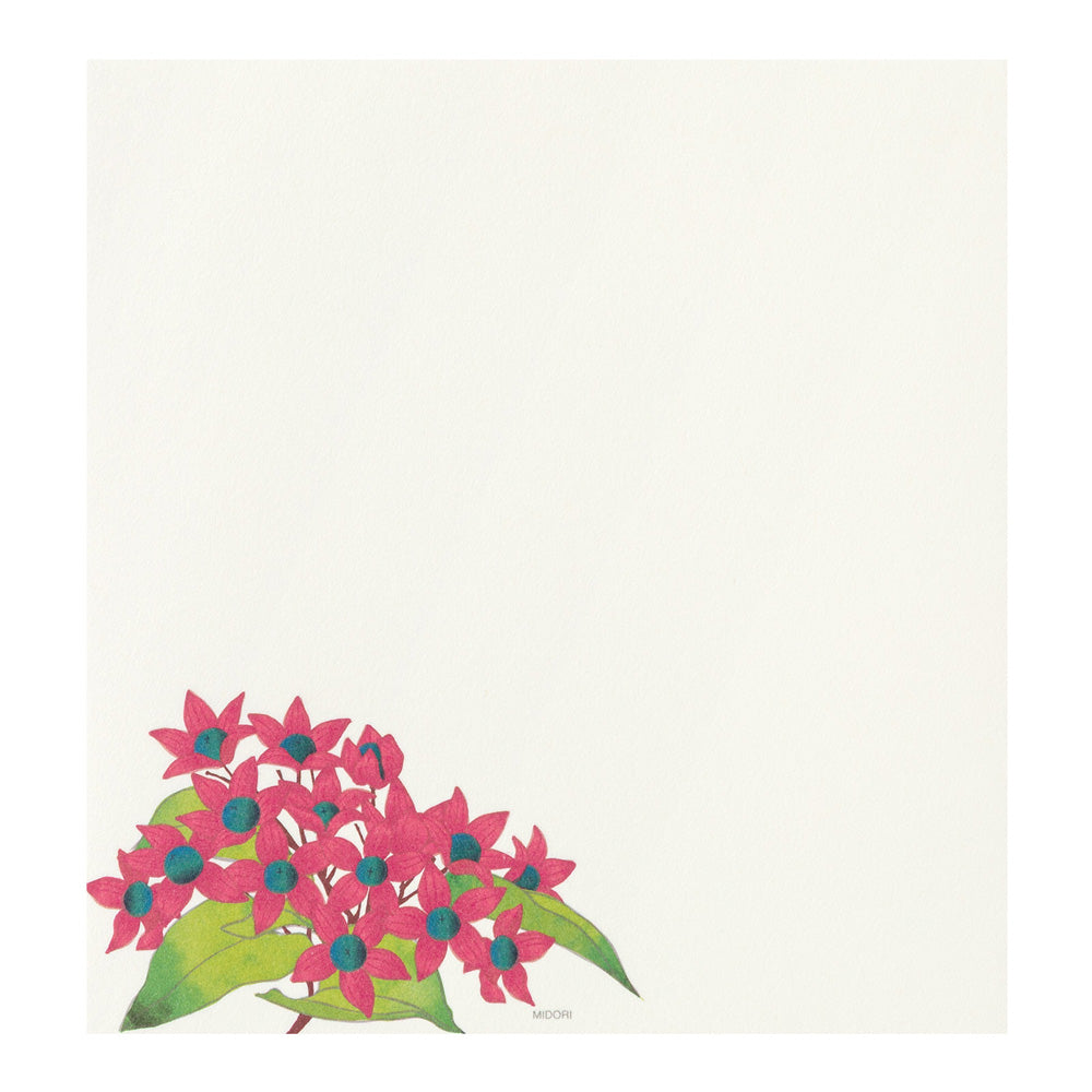 Midori Letter Pad - Four Designs Autumn Fruits