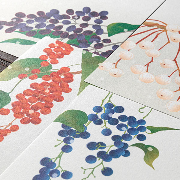 Midori Letter Pad - Four Designs Winter Fruit