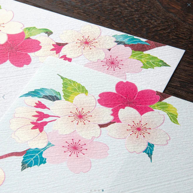 Midori Cherry Blossom design on a textured surface