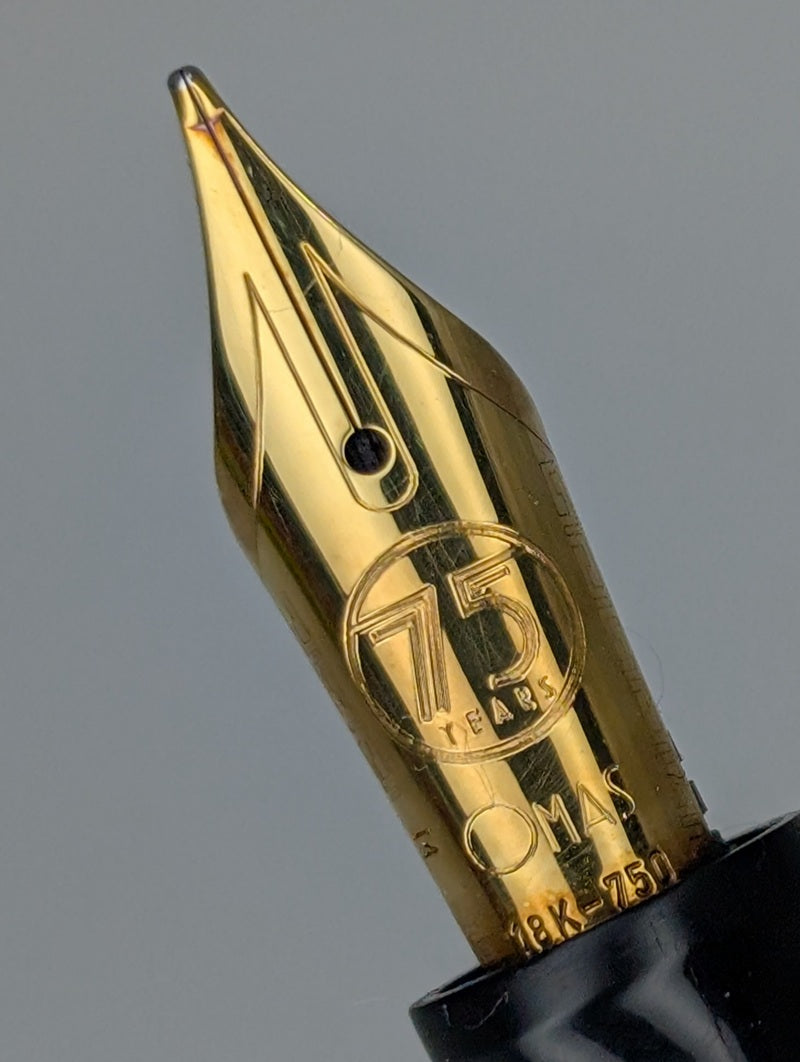 *Consignment* OMAS T2 Titanium Paragon Limited Edition Fountain Pen 18k Gold Medium Nib #111 of 750