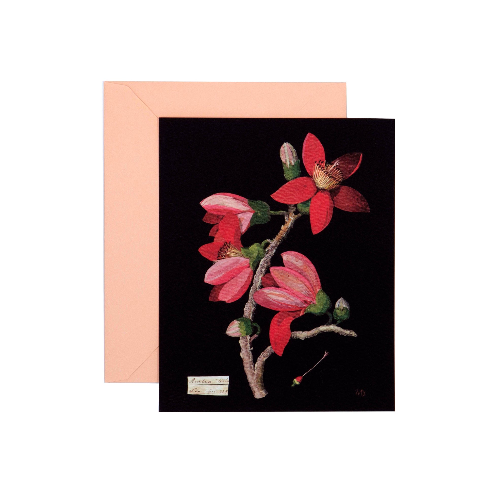 Greeting card with red floral design on black background and envelope
