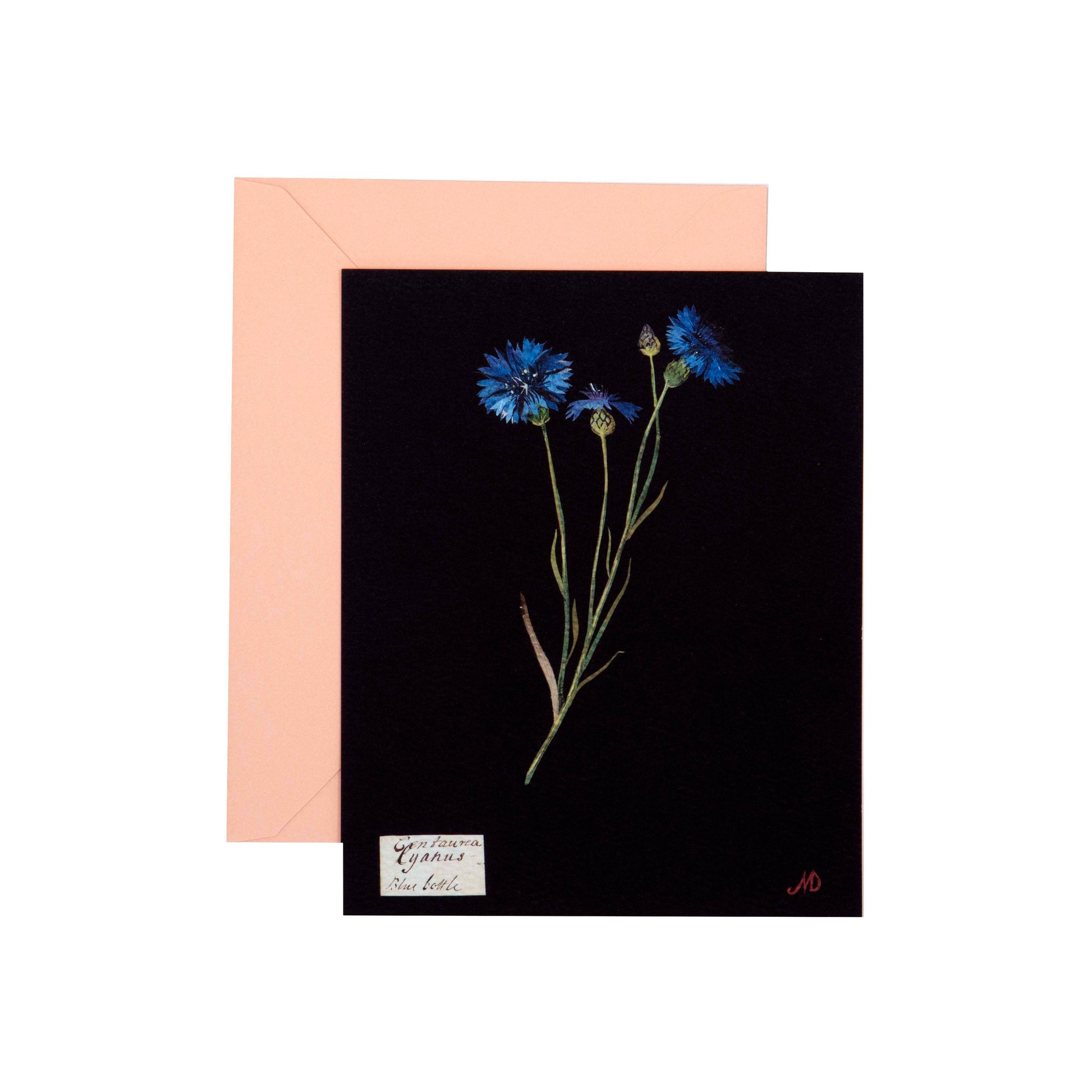 Black card with blue flowers and a pink envelope on a white background