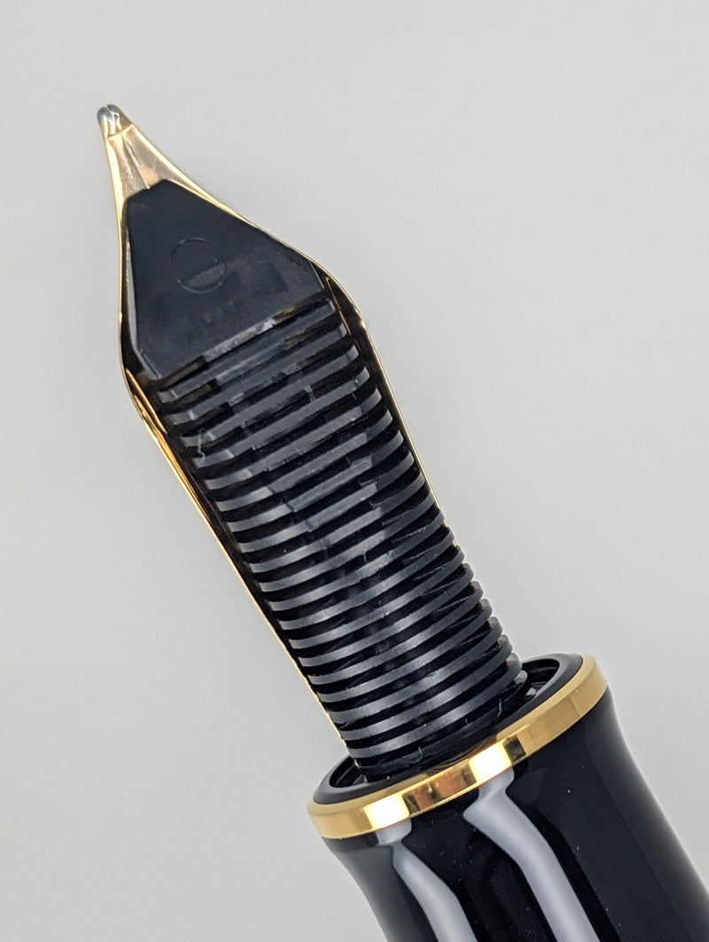 Pelikan Souveran M1000 Raden Stardust Hoshikuzu Fountain Pen