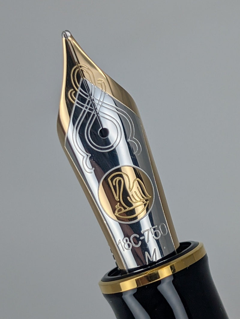 Pelikan Souveran M1000 Raden Stardust Hoshikuzu Fountain Pen