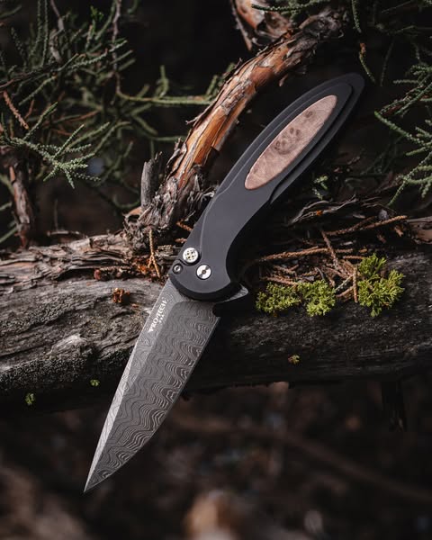 Protech Cambria Custom 5 Button Lock Maple Burl Inlay Chad Nichols Damascus #31/50