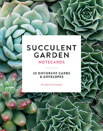 Succulent garden notecards with a white card overlay