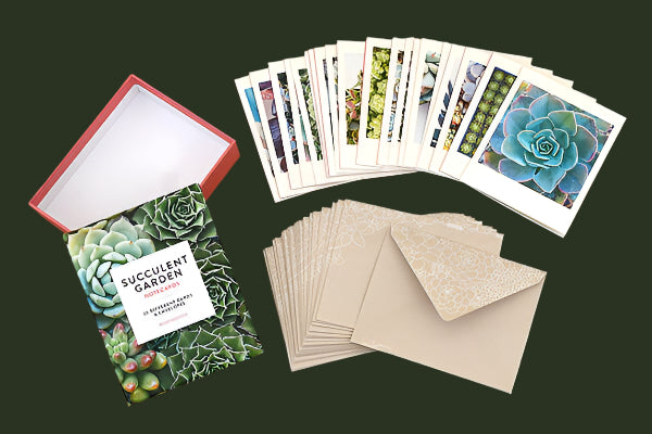 Succulent Garden Notecards - set of 20