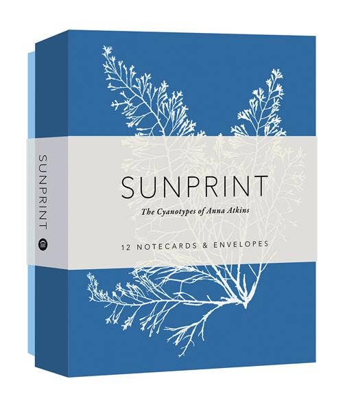 Sunprint notecards and envelopes packaging with blue and white design