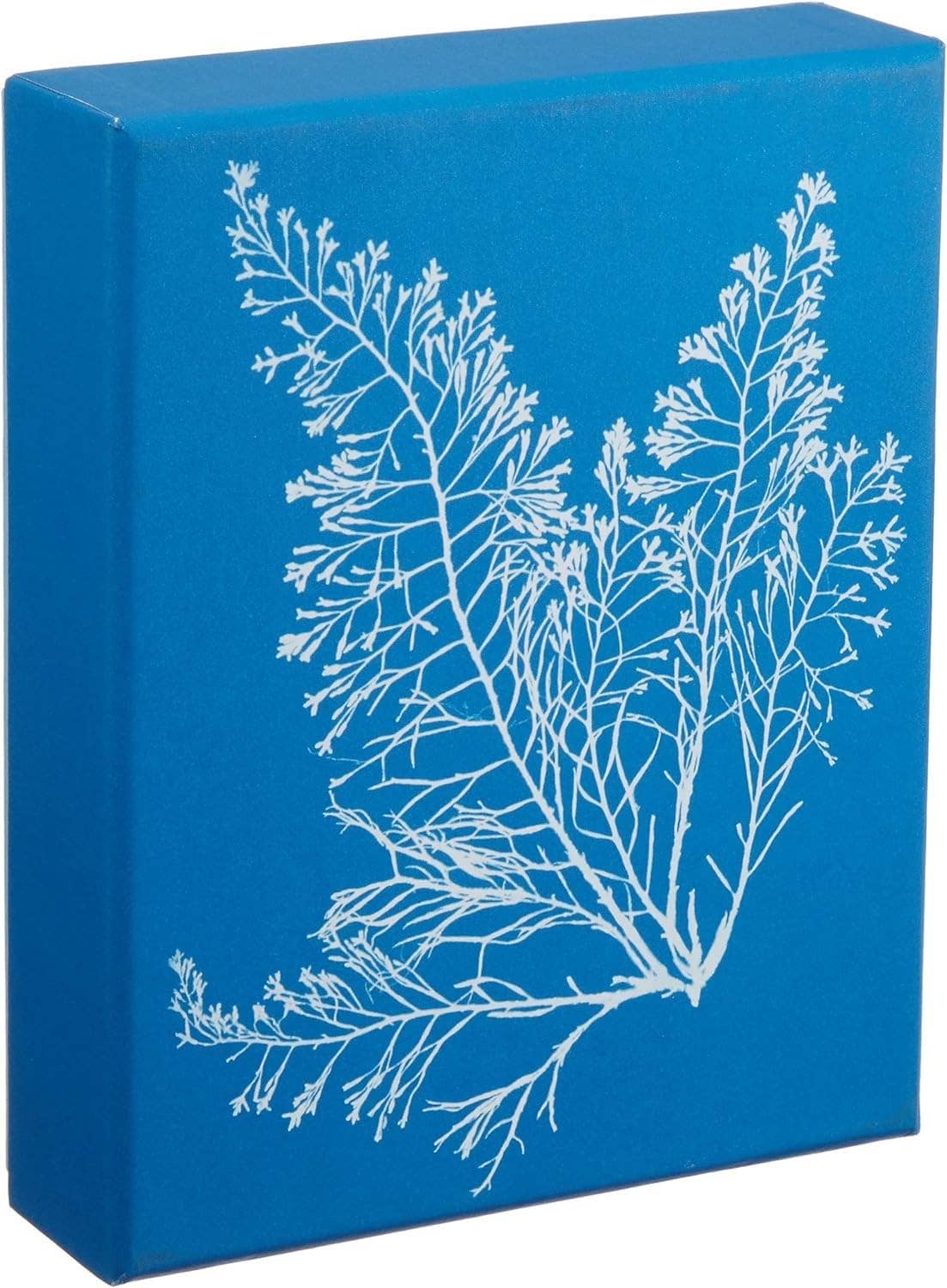 Sunprint Notecards: The Cyanotypes of Anna Atkins