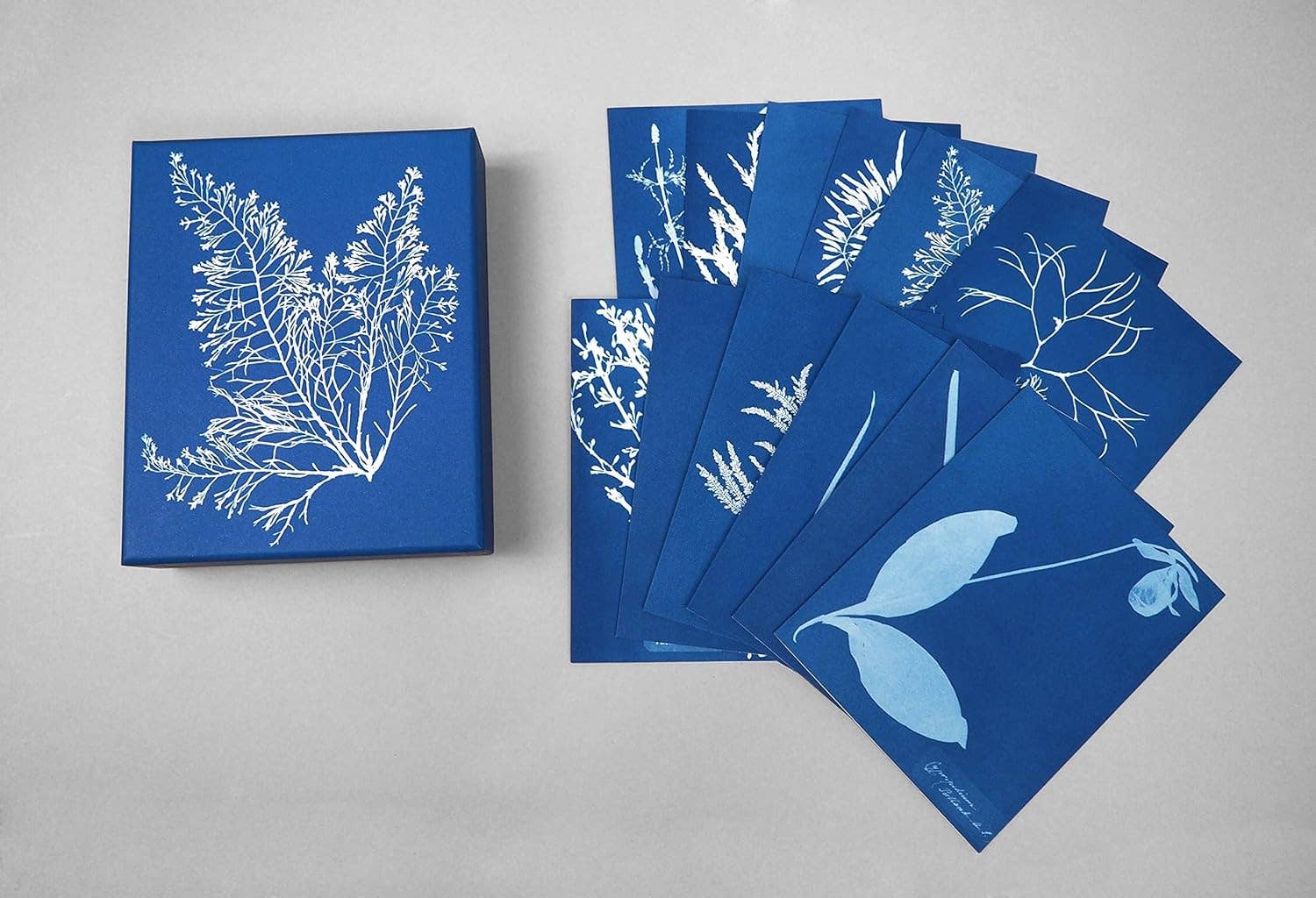 Set of blue cards with white floral designs on a gray background
