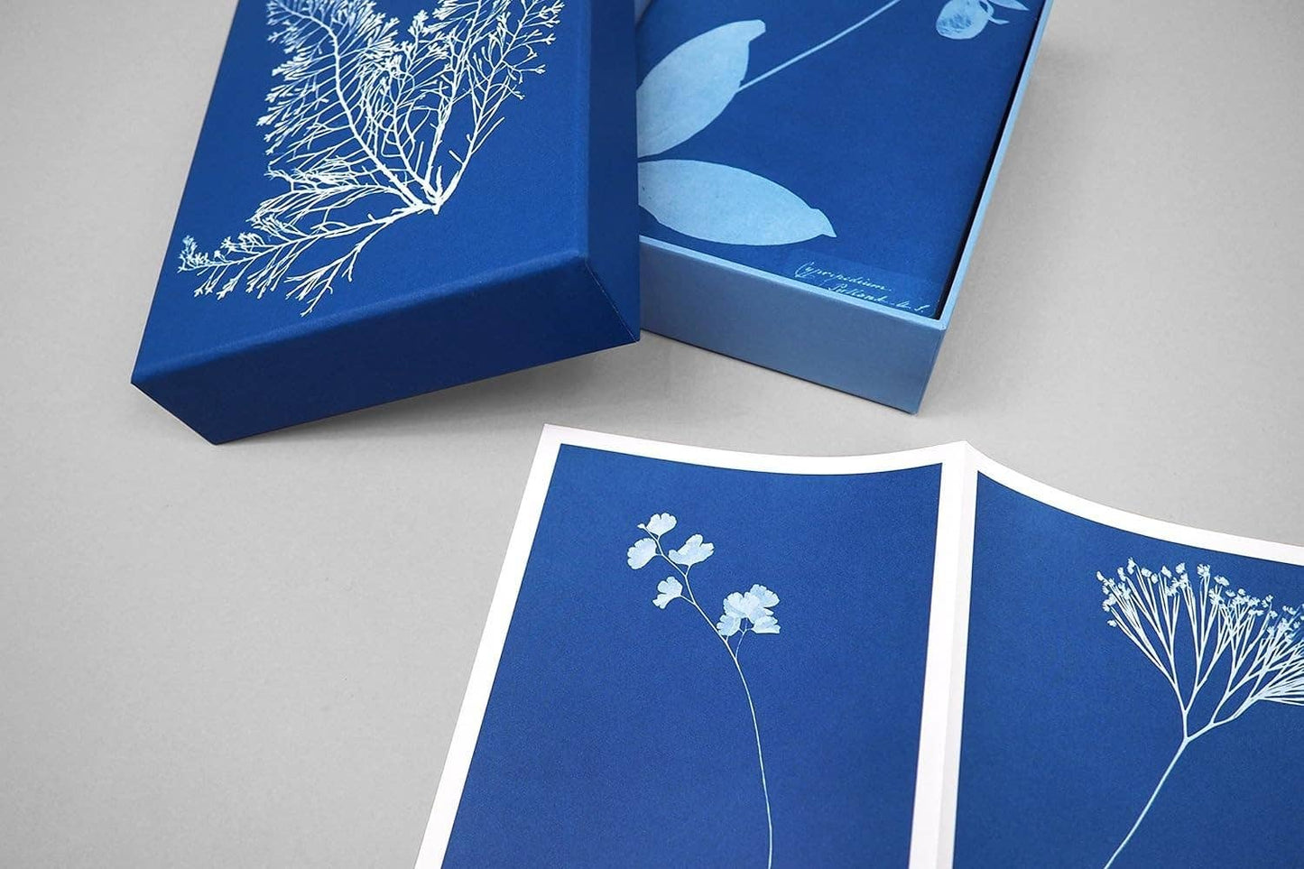 Blue boxes with white floral illustrations on a gray background