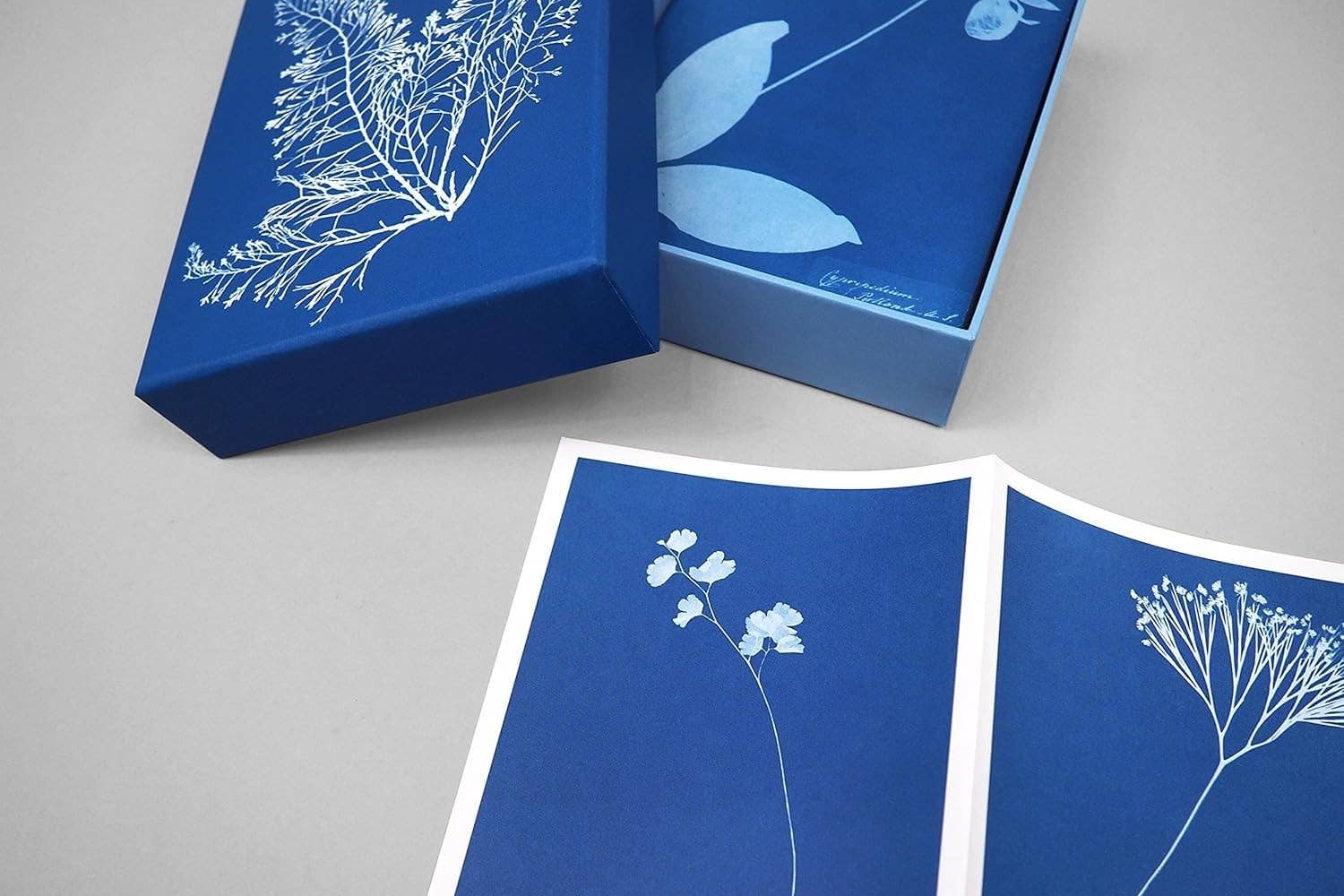 Blue boxes with white floral illustrations on a gray background