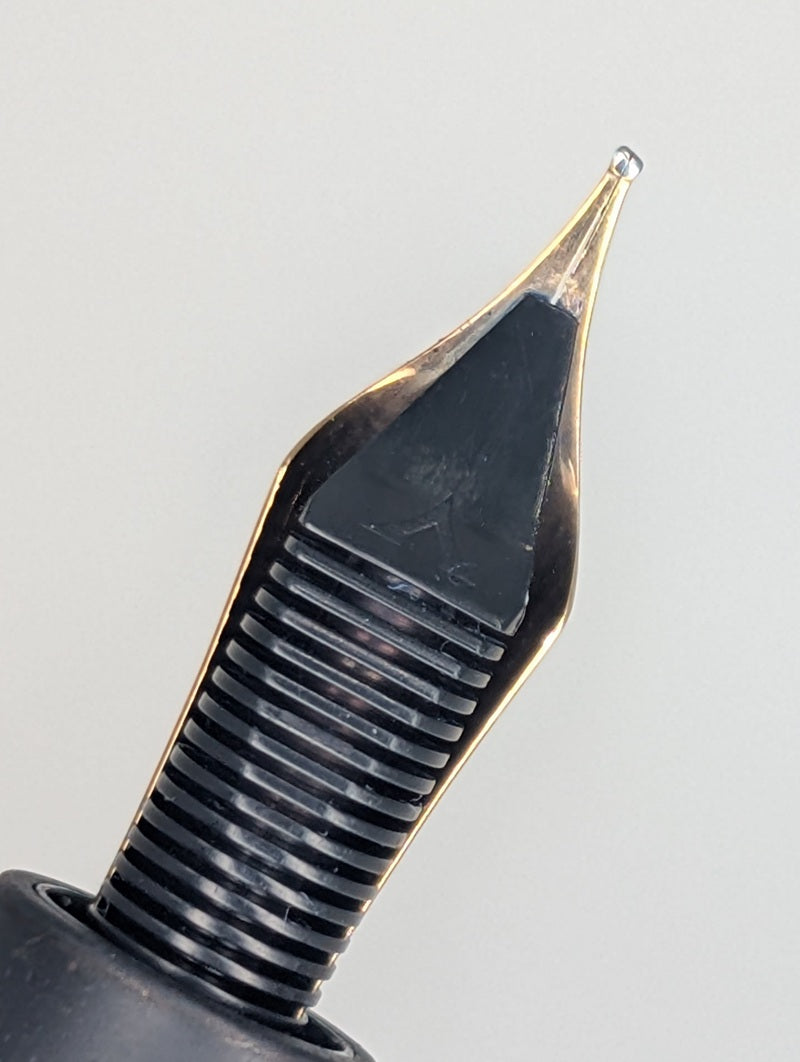 *Consignment* Visconti Homo Sapiens Bronze Age Vac-Fill Fountain Pen 18k Gold Medium Nib