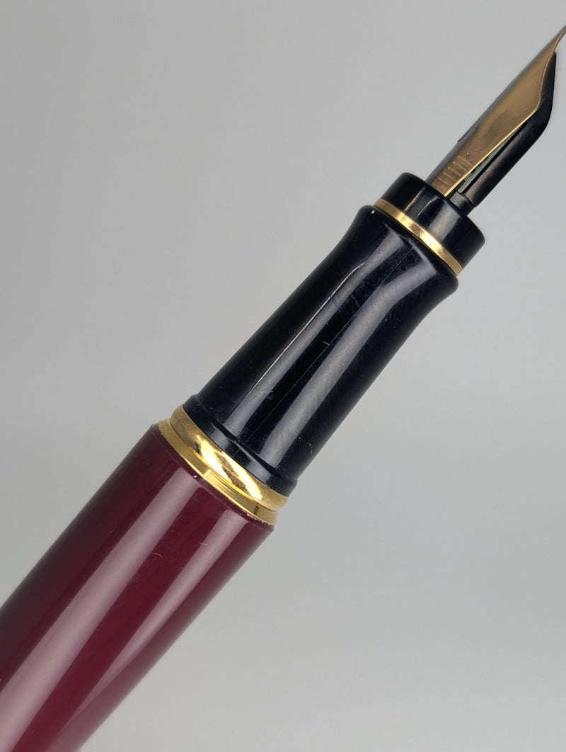 *Consignment* Waterman Expert Burgundy Fountain Pen Medium Nib