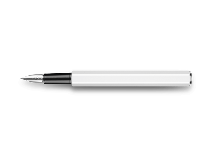 Caran d'Ache 849 Fountain Pen