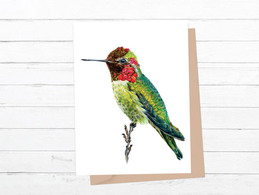 Anna's Hummingbird Greeting Card